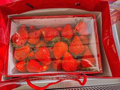 -心乐生活新鲜屋(星海广场店)