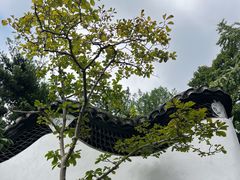 -豫园