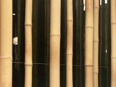 -原鄉本味 楚菜 丹江口鱼(北苑店)