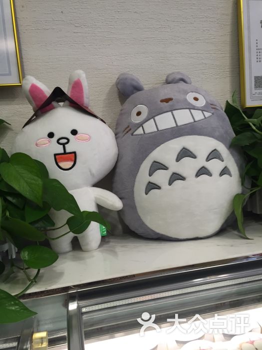 乐纯的伙伴们图片 - 第3559张