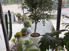 -喜茶(珠海华发商都店)