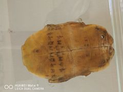 -洛阳周公庙博物馆