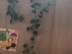 -比格比萨自助(国展店)