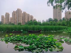 -前关湿地公园