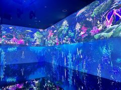 -中国湿地博物馆