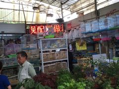 -万商花鸟市场
