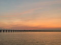 -宝安西湾红树林湿地公园