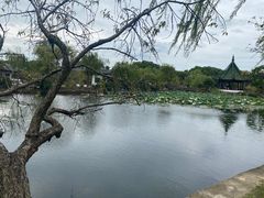 -无锡蠡湖国家湿地公园-蠡园