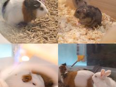 -海珠新都荟城光荟(海珠店)