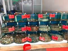 水产区-聚德福海鲜家常菜(刘庄店)