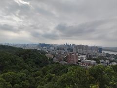 -福道
