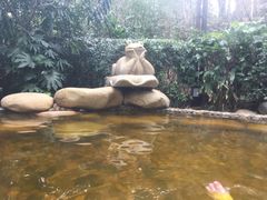 -天目湖涵田半山温泉