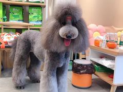 -宠物梦想家(日月豪庭店)