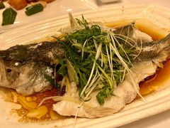 -朱仔记食府(江南大道店)