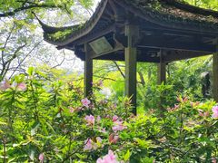 -虎跑公园