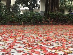 -海南热带海洋学院(三亚校区)