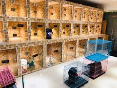 -汪小喵宠物·戴维斯乐芳希施宠馨宝皮毛调理洗护店