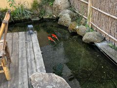 -湖南别院·美学庭院餐厅(惠阳店)