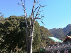 -灵光寺