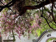 -深圳国际园林花卉博览园