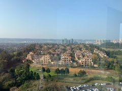 -成都蒲江花样年福朋喜来登度假酒店·宜客乐西餐厅