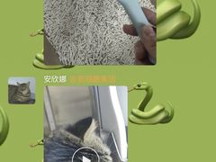 -美联众合动物医院·24h京西诊疗中心