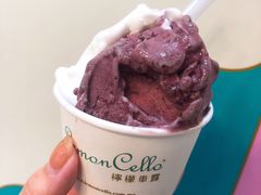 -柠檬车露(卖草地店)