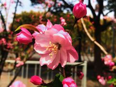 -上海南浦大桥长途旅游客运站
