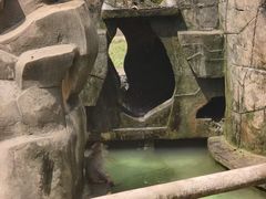 -赭山公园