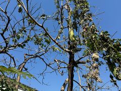 -东钱湖旅游度假区