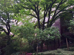-香港大学