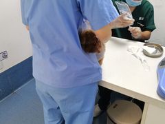 -宠颐生动物医院·心脏科·保险定点(锦阳分院)