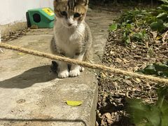 -人民公园(罗湖区)