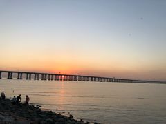 -宝安西湾红树林湿地公园