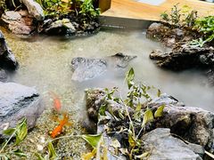 大堂-森味薪火烧•烧鸟居酒屋•日本料理(望京店)