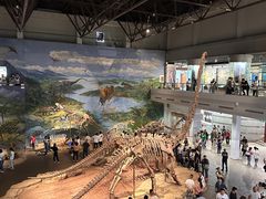 -自贡恐龙博物馆