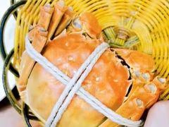 -蟹天蟹地农家菜·阳澄湖大闸蟹(浅水湾店)
