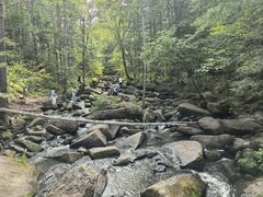 -汤旺河林海奇石景区