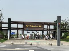 -杭州湾海上花田景区