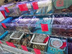 水产区-金海湾海鲜排档(朱家尖店)