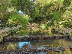 -成都市活水公园