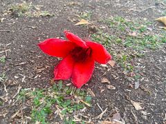 -荔枝公园(福田区)
