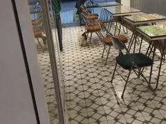 大堂-大熊小厨(七星店)
