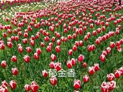 -国家植物园