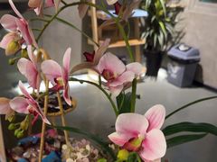 -施奈儿.洗头頭療.按摩SPA.采耳(上梅林店)