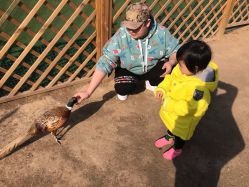 -萌宠亲子动物乐园(槐房万达店)