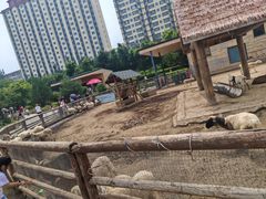 -太原动物园