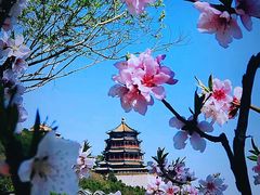 -颐和园