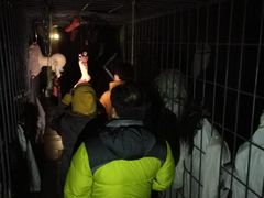 -蓬莱欧乐堡梦幻世界