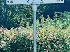 -后海彼岸花园餐厅